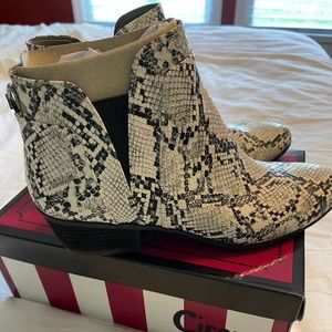 Circus by Sam Edelman books